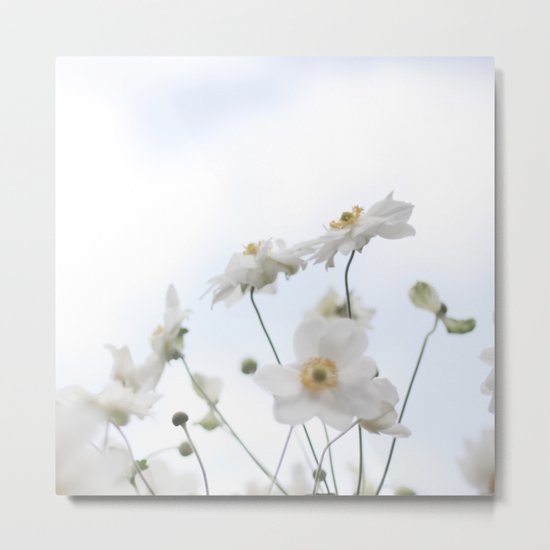 Sky high Metal Print