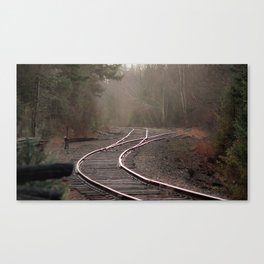 Path Canvas Print