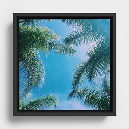 PALM TREES Framed Canvas