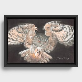 Flying Owl Framed Canvas
