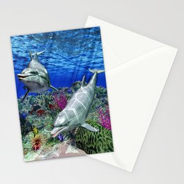 Dolphins Stationery Card