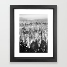 Algonquin Park in Winter, The Lookout Trail Framed Art Print