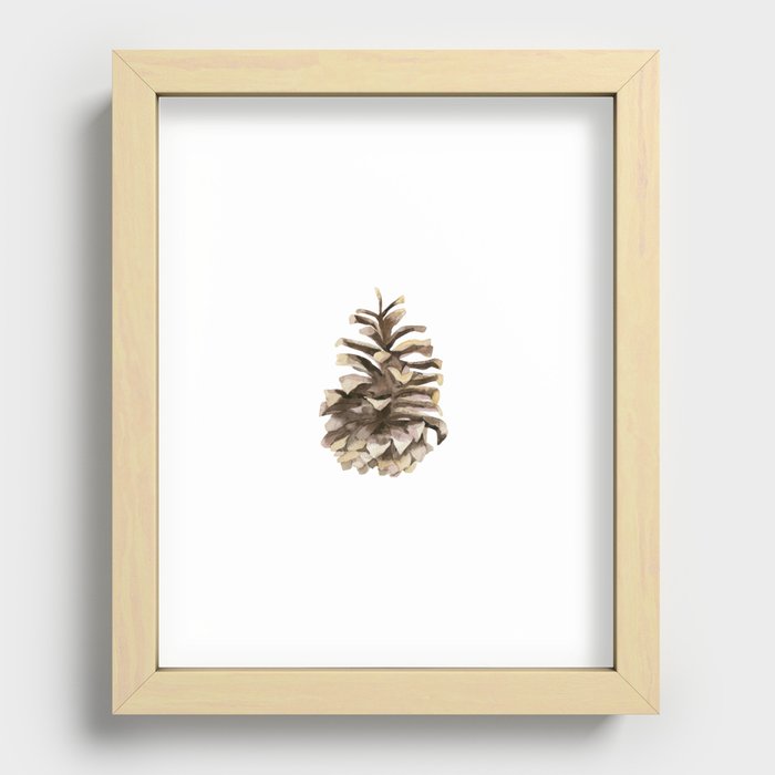 Pine cone. Recessed Framed Print