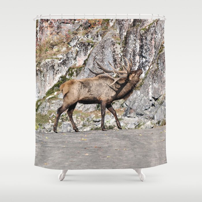 Wapiti Bugling: Bull Elk Shower Curtain