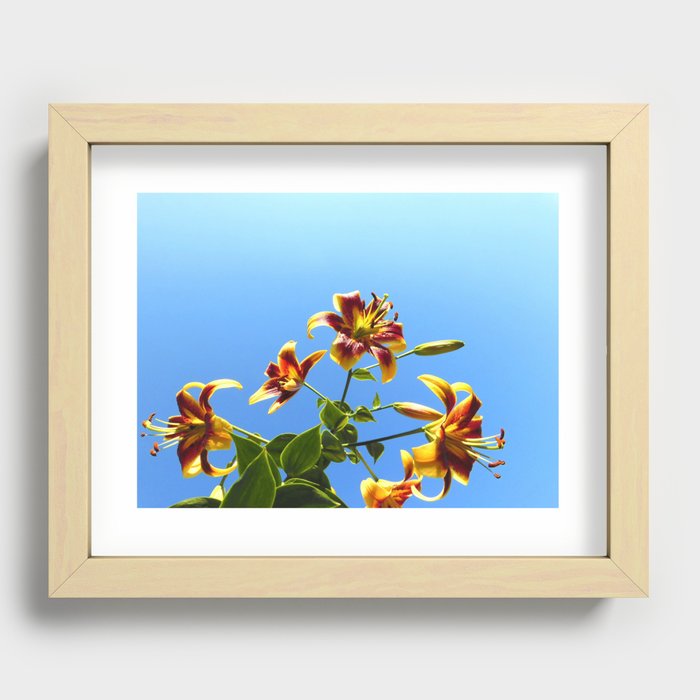 Lilies in the Sky Recessed Framed Print