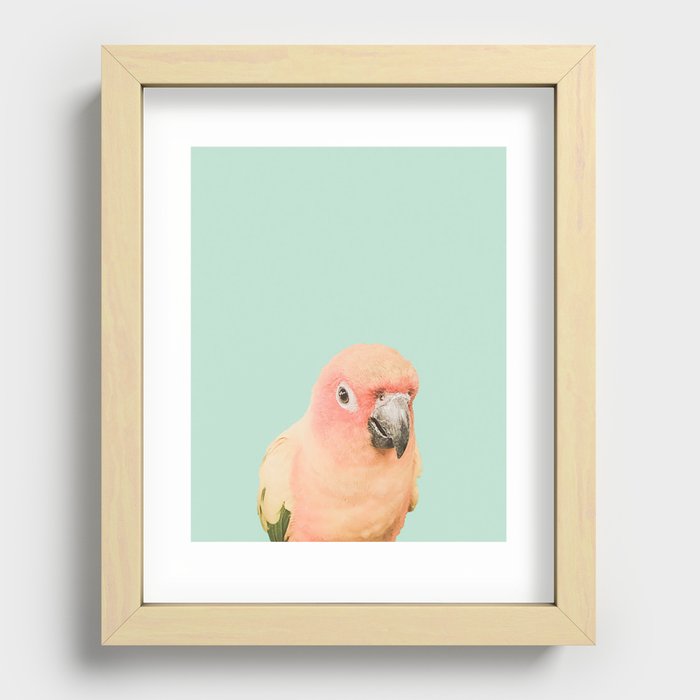 Birds of Paradise - pastel blue Recessed Framed Print