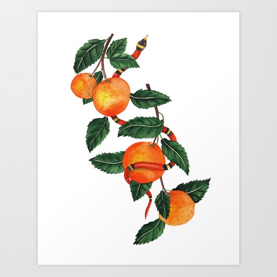 Oranges and a snake Art Print