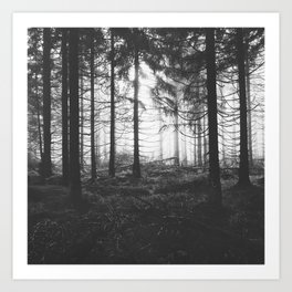 Through The Trees // Nightwalker In Ghostwood Romantic Forest Covered In Magic Dark Mood Fog Series Art Print