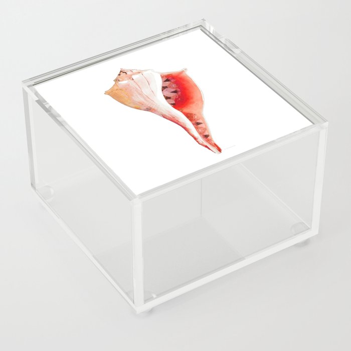 Beach Decor - Red Whelk Seashell Art  Acrylic Box