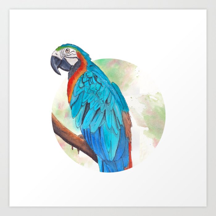 Blue Parrot in Watercolor and Ink Art Print