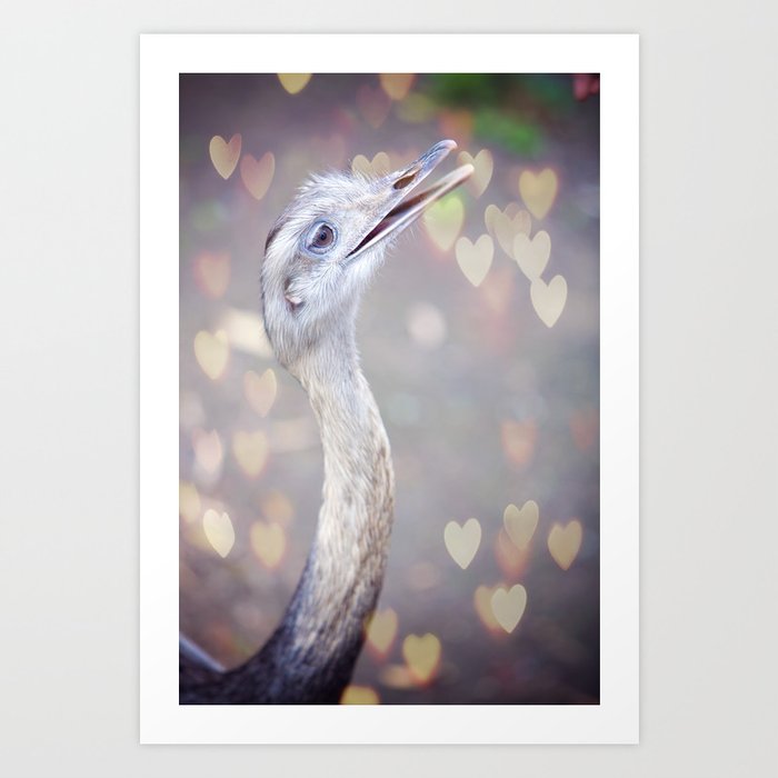 Emu Love Art Print
