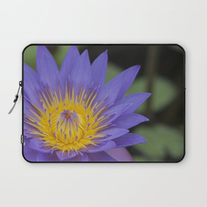Water Lily Laptop Sleeve