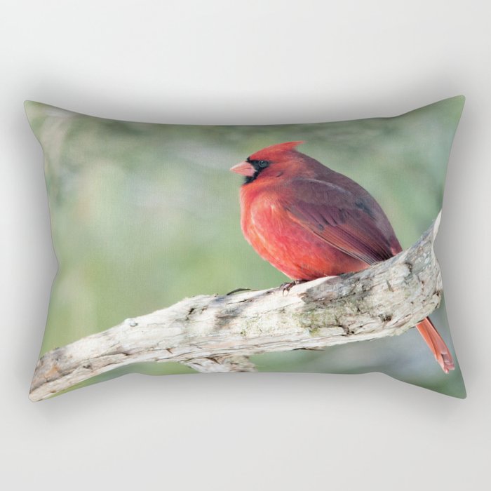 Serene Cardinal Rectangular Pillow
