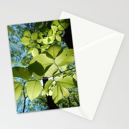 Sunlight Canopy V Stationery Cards