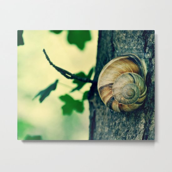 OOLIQUE Metal Print