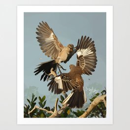 Mockingbird Brawl Art Print