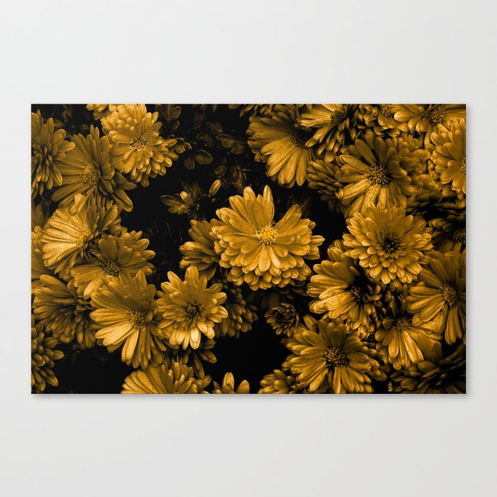 Golden floral pattern design | Close-up of Gerbera daisies bouquet  Canvas Print