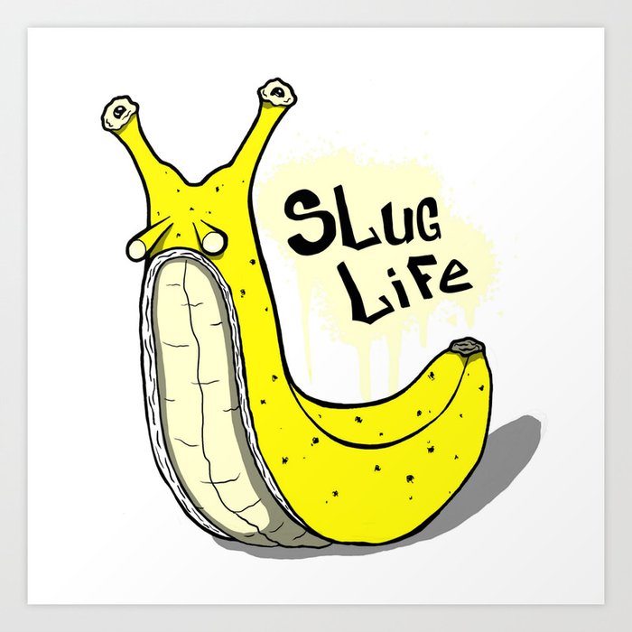 banana-slug-r1e-prints.jpg
