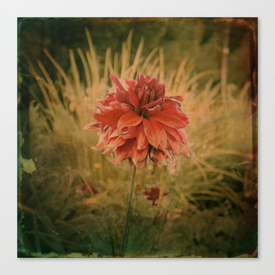 Hand painted vintage flower Canvas Print