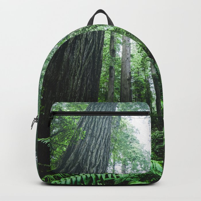 Redwood National Park- Pacific Northwest Nature Photography Backpack