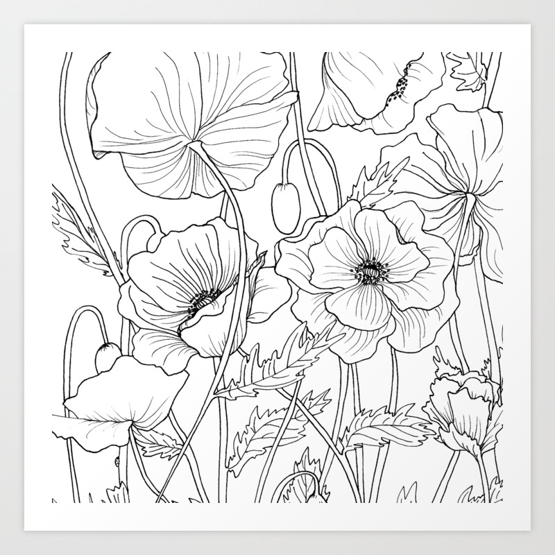 Poppies Line Drawing Art Print By Zoecharlotte Society6