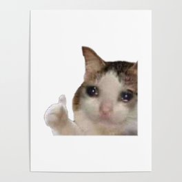 Crying Cat meme - High quality Poster