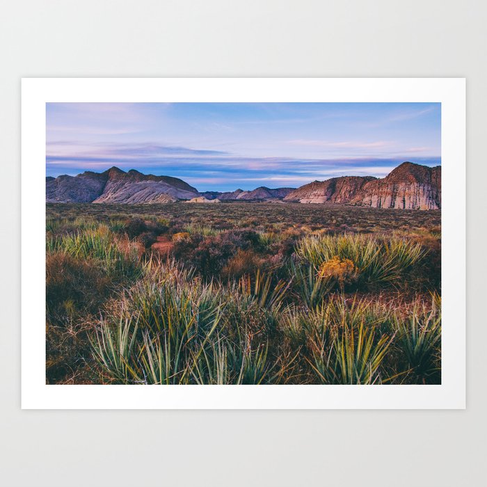 Cactus in the Desert Fine Art Print  • Travel Photography • Wall Art Art Print