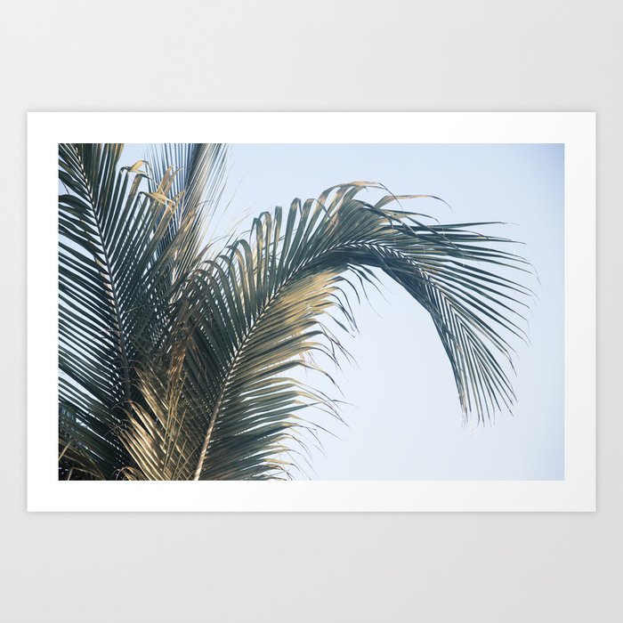 Caribbean Palm Leaves #1 #tropical #wall #art #society6 Art Print