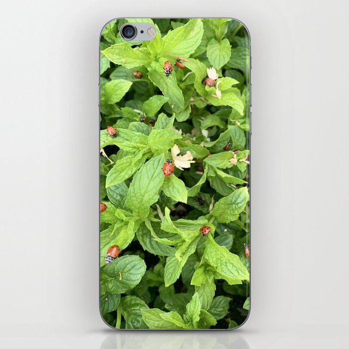Mint Peppermint And Ladybugs iPhone Skin
