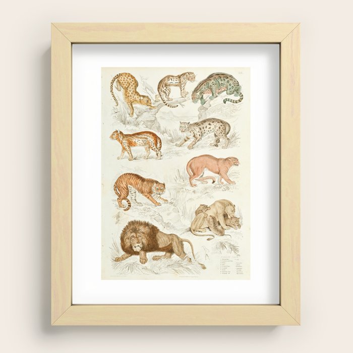Recessed Framed Print