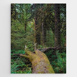 If a Tree Falls in the Rainforest Jigsaw Puzzle