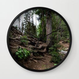 Roots on Mountainside, Colorado Wall Clock