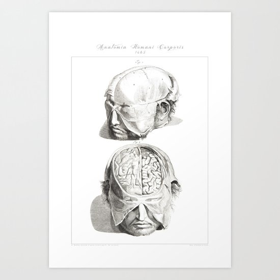 Internal Structures of Head #2 Art Print on Vintage Book Page Medical Anatomy