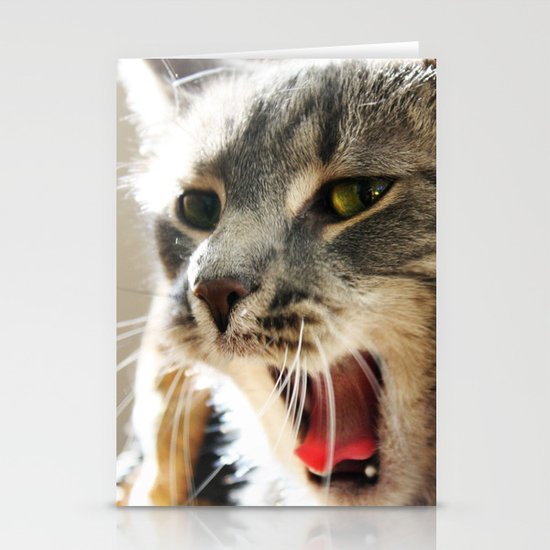 Cat Nap Stationery Cards