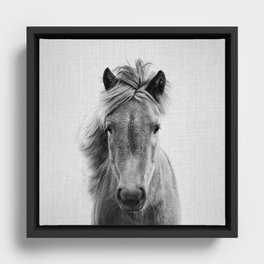 Wild Horse - Black & White Framed Canvas