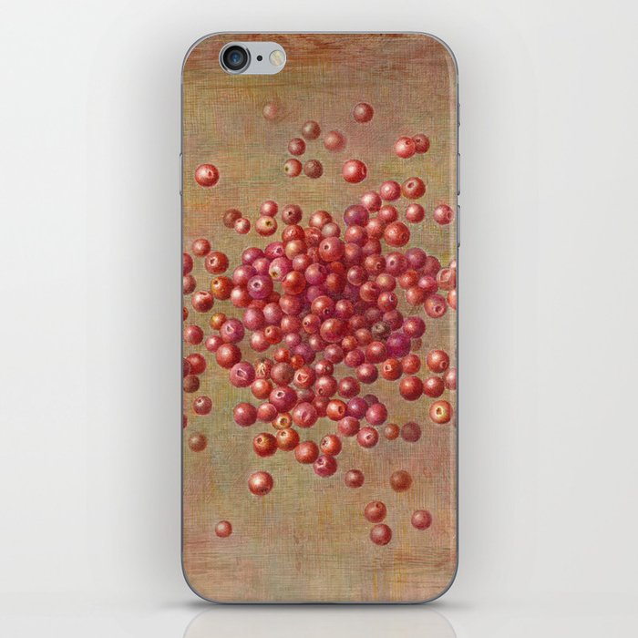 CRANBERRIES iPhone Skin