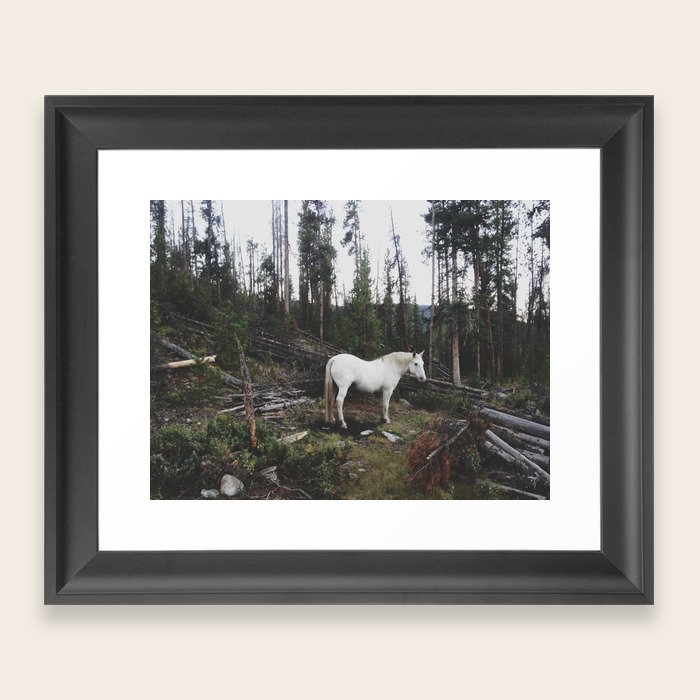 The White Horse Framed Art Print by Kevin Russ Society6