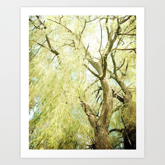Willow Tree Art Print
