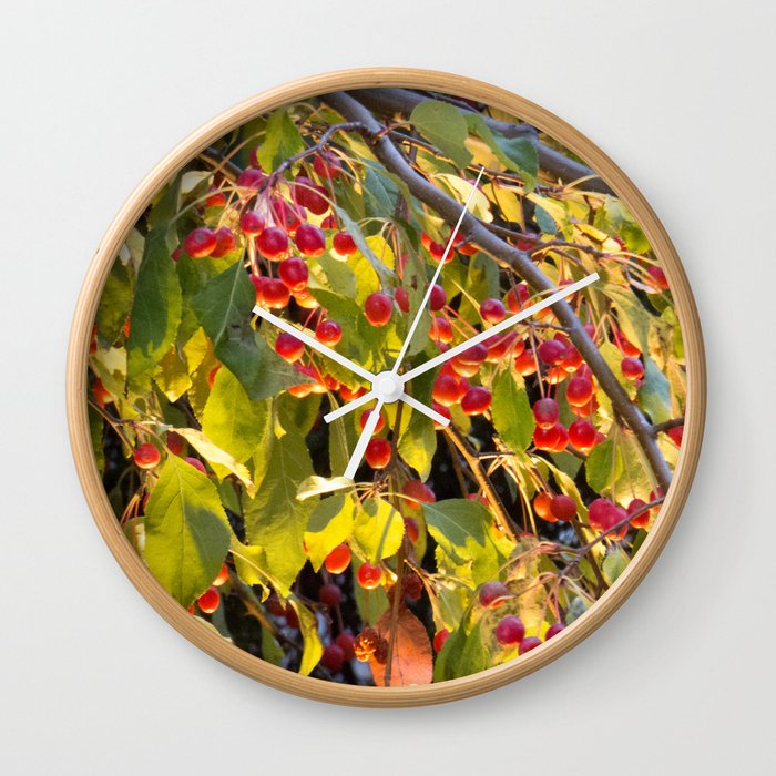 Bright red berries on a tree Wall Clock
