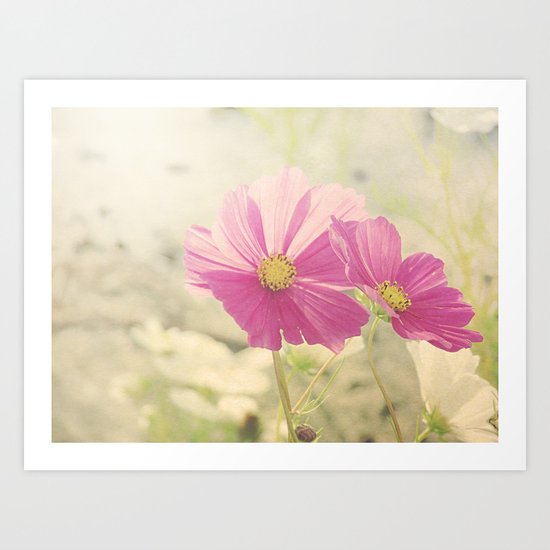 Vintage Cosmos in the Sun Art Print