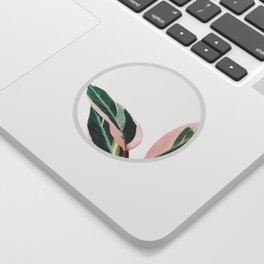 Pink Leaves II Sticker