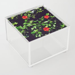 French riviera tropical garden | Red hibiscus flowers among green leaves | Spring botanicals Acrylic Box