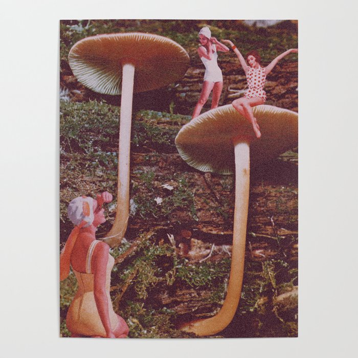 Forest Floor Poster