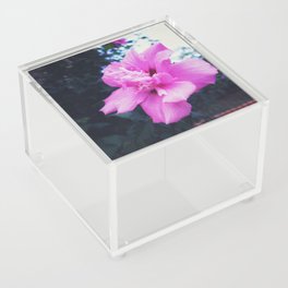 Flower pink tropical Acrylic Box
