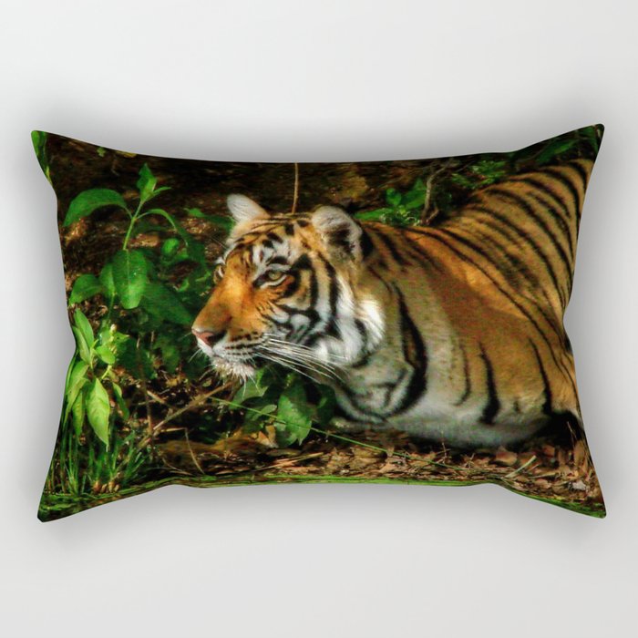 Bengal Beauty Rectangular Pillow