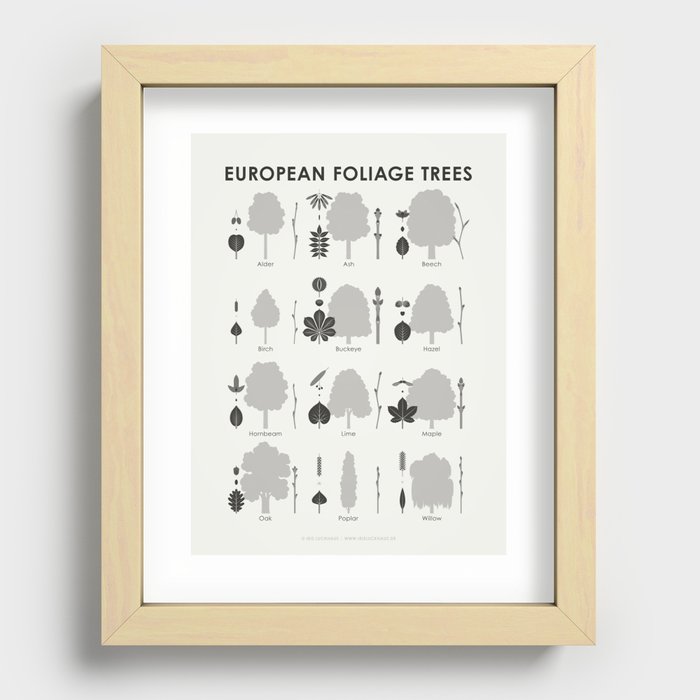 [Old Version] European Foliage Trees Identification Chart Recessed Framed Print
