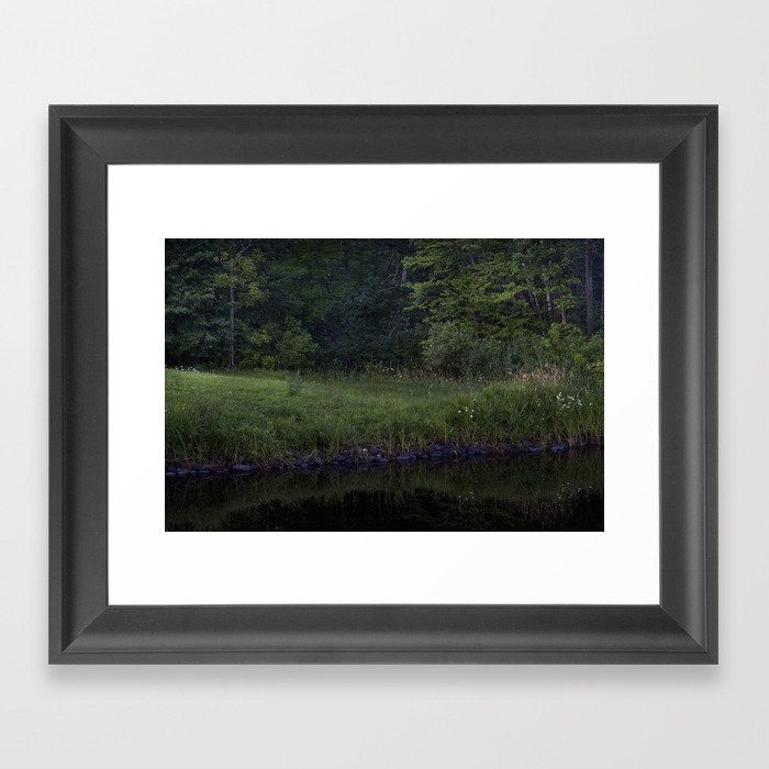 Forest by the Stream Framed Art Print