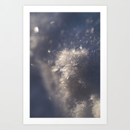Snow crystals Art Print
