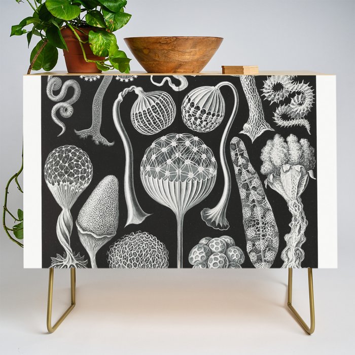 Black and White Mushroom Pattern Illustration Credenza