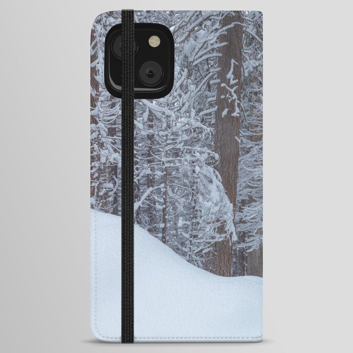 Winter iPhone Wallet Case